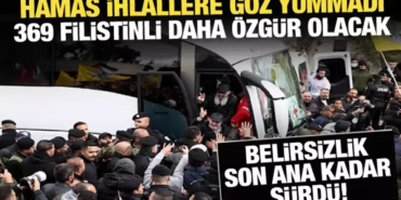 17396033331775457918