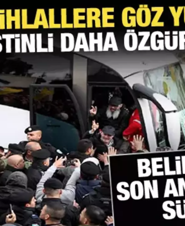 17396033331775457918