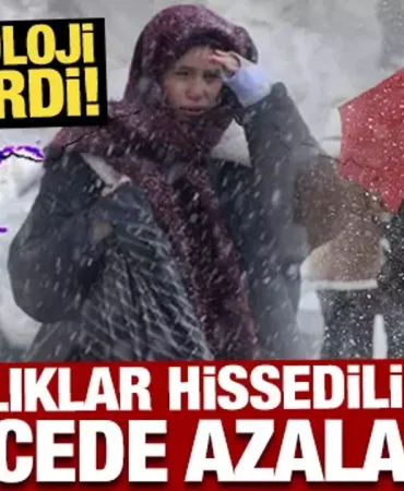 17396034771726408890