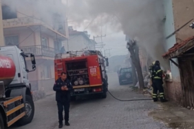 17396038691773048478