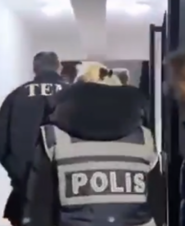 17396040202139703915