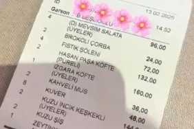 17396052401642179087