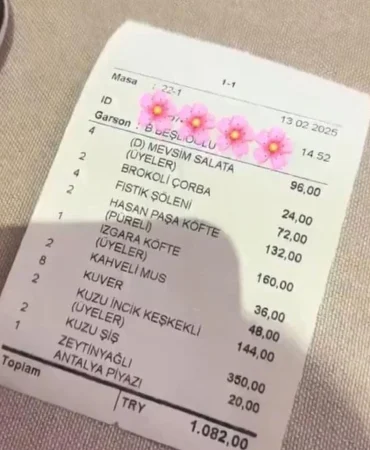 17396052401642179087