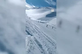 17396130322034672423