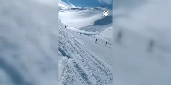 17396130322034672423