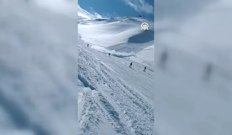 17396130322034672423