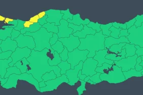 17397751551952965074