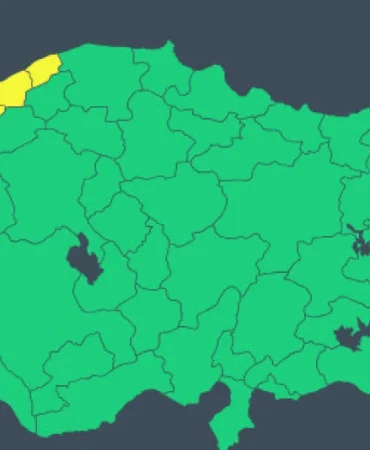 17397751551952965074