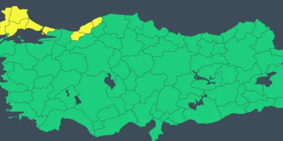 17397751551952965074