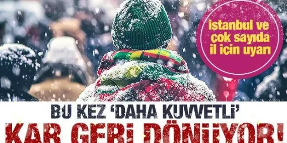 17397757411100547954