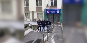 17397758791544311331