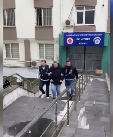 17397758791544311331