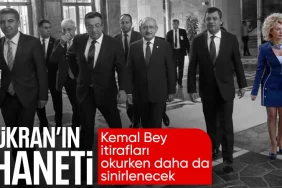 17397811682011960259