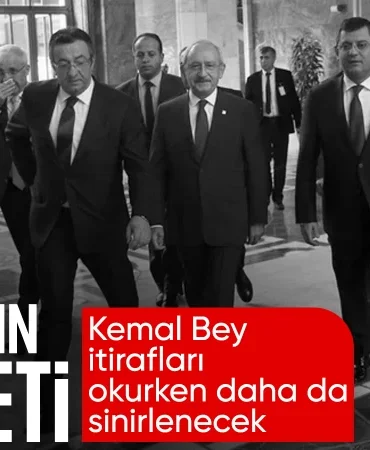 17397811682011960259