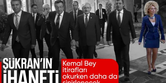 17397811682011960259