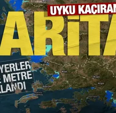 17397854671910541700