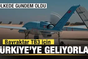 17397857891840410872