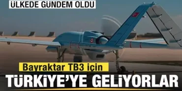 17397857891840410872