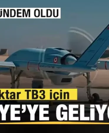 17397857891840410872