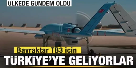 17397857891840410872