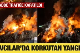 17398594731624897000