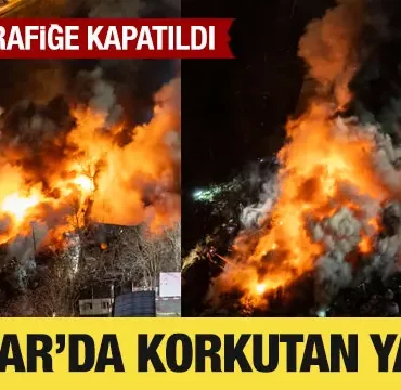 17398594731624897000