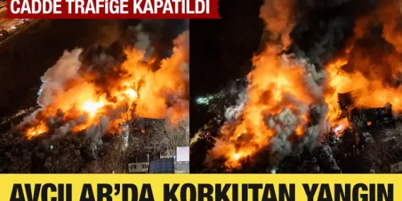 17398594731624897000