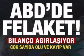 17398601461469559388