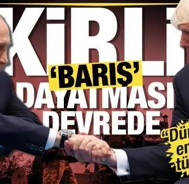 17398689601472208104