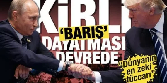 17398689601472208104