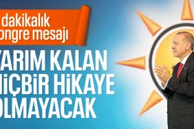 17401600011068225298