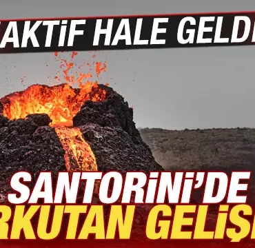 17401610561974583512