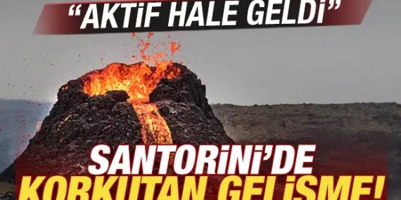 17401610561974583512