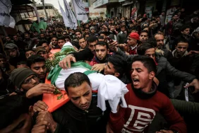 17402499801587649887