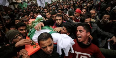 17402499801587649887