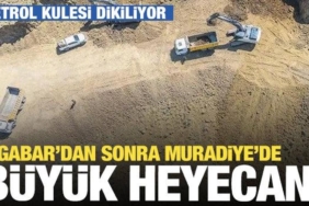 17402917071446935821