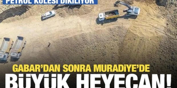 17402917071446935821