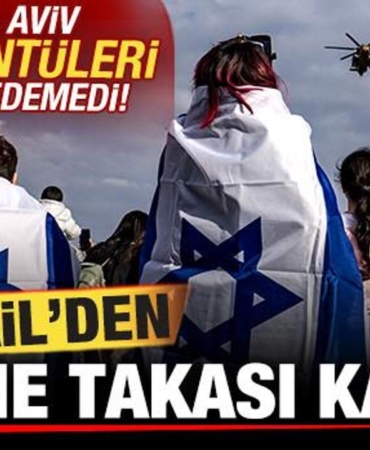 17402919312055863221