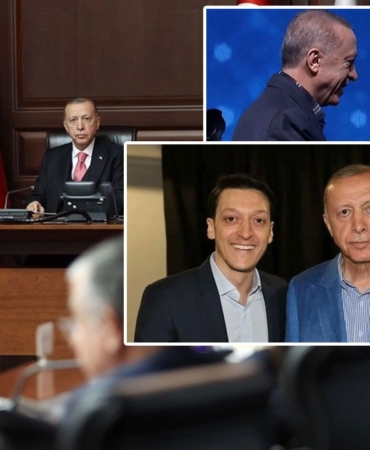 17402926221938168534