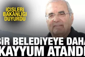 17403825391585974587