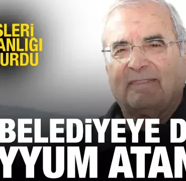 17403825391585974587