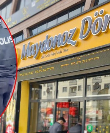 17403829681855448010