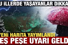 17403856592073533754