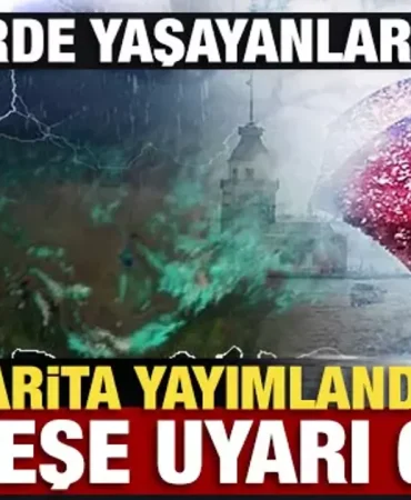 17403856592073533754