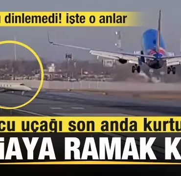 17405536861648549496