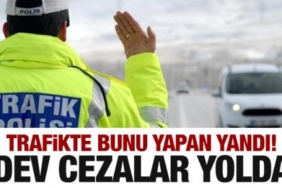 17409058801808482780