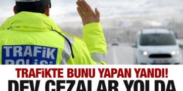 17409058801808482780