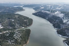 17409331291085763353