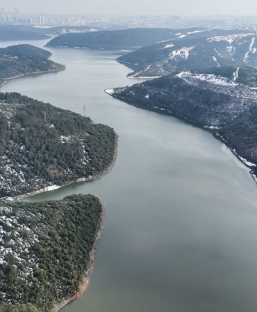 17409331291085763353