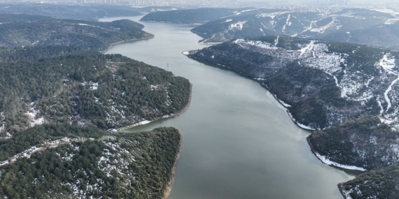 17409331291085763353